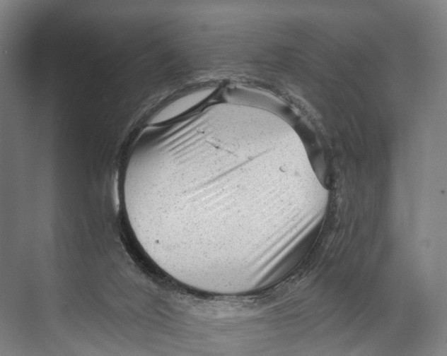 X0000074000020200609181820