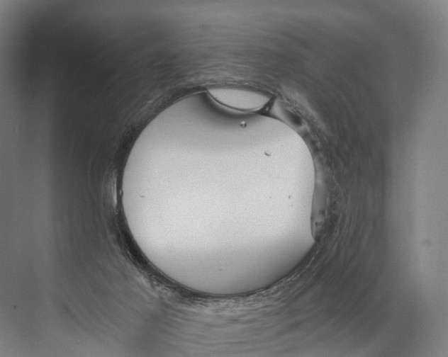 X0000074000021200609181820