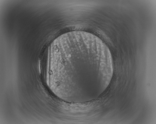 X0000074000022200609181820