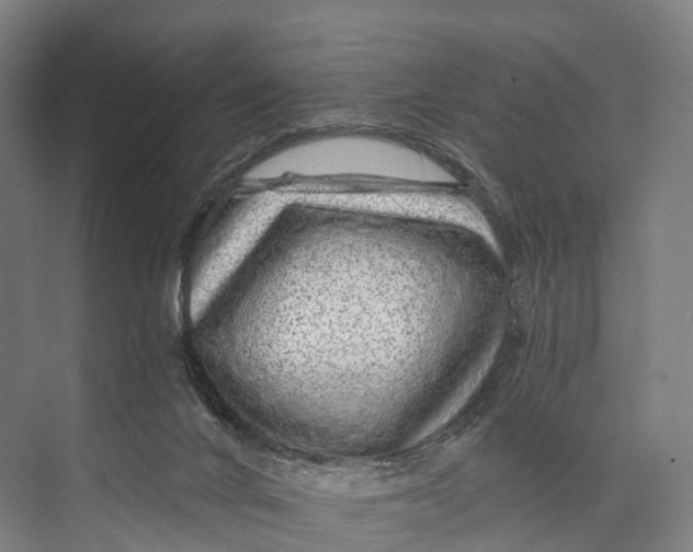 X0000074000024200609181820