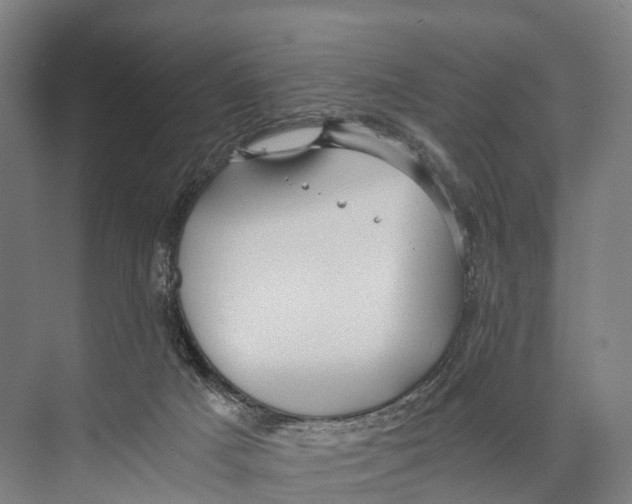 X0000074000025200609181820