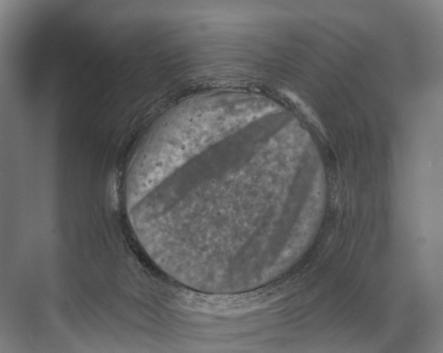 X0000074000026200609181820