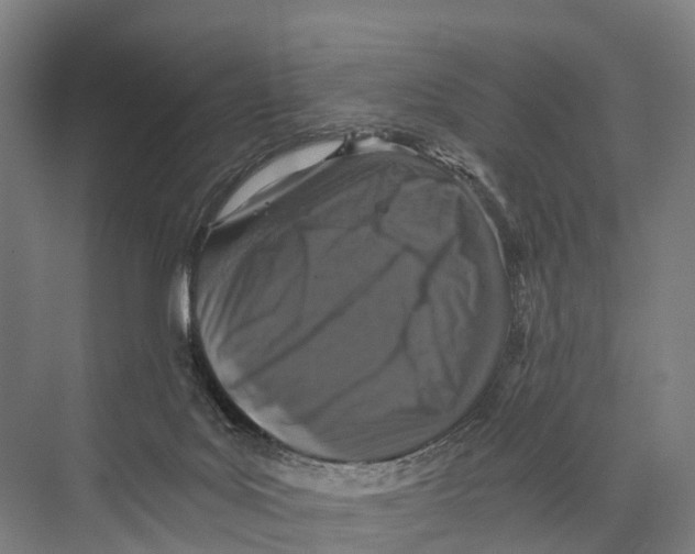 X0000074000027200609181820