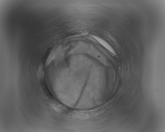 X0000074000029200609181820