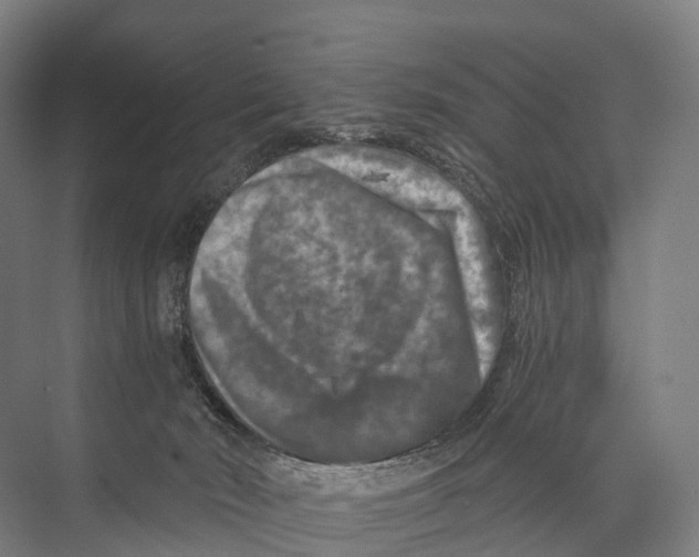 X0000074000030200609181820