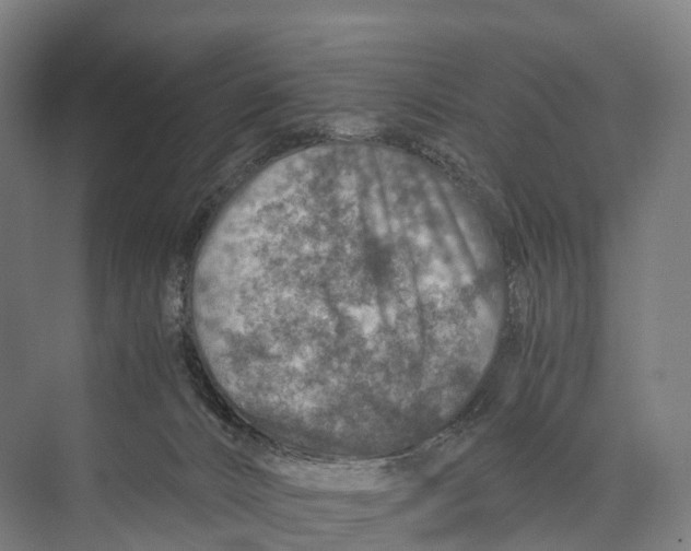 X0000074000032200609181820