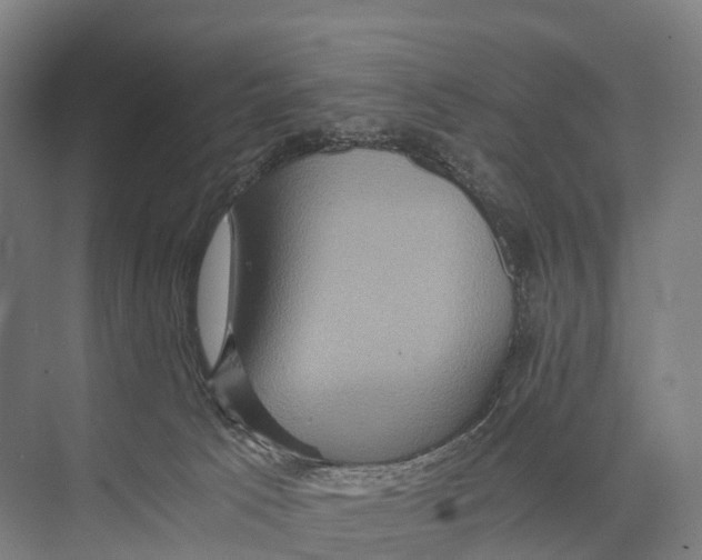 X0000074000033200609181820