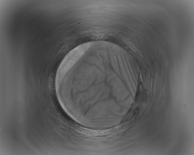 X0000074000035200609181820