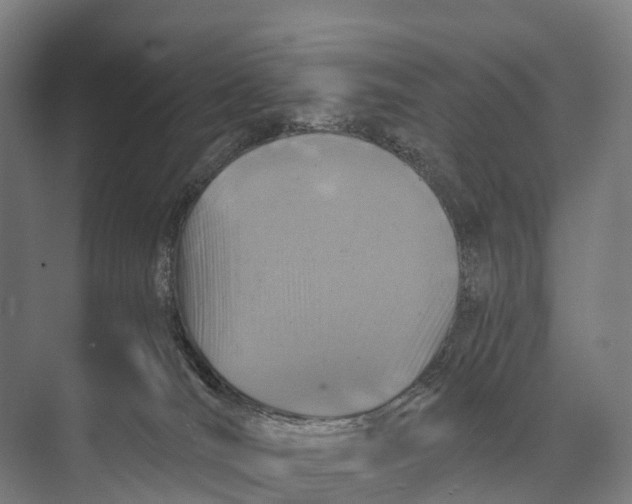 X0000074000036200609181820