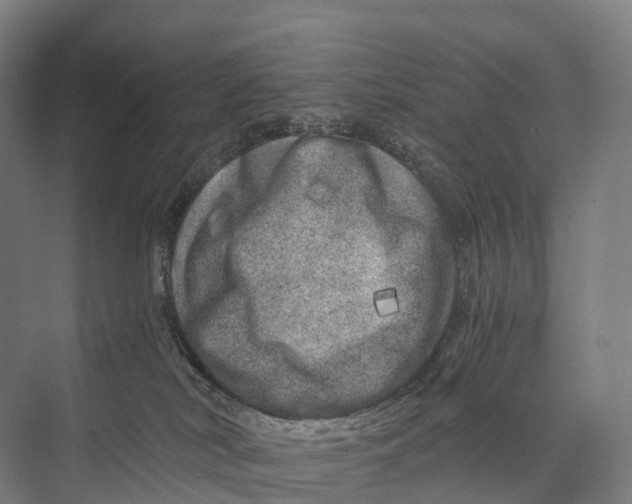 X0000074000038200609181820