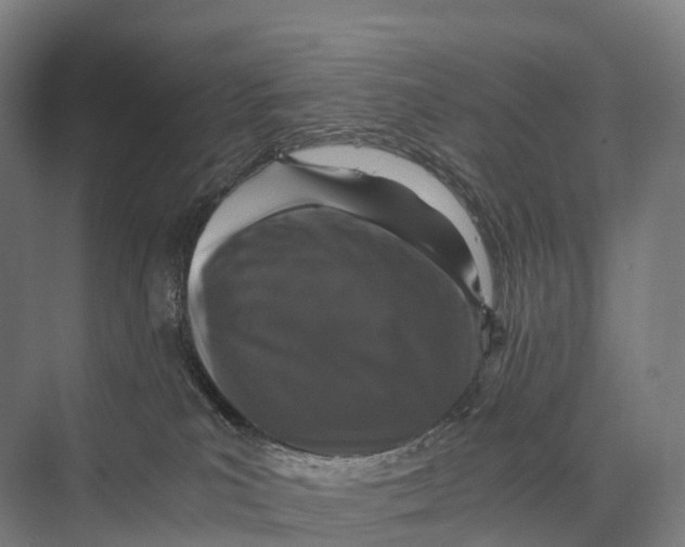 X0000074000039200609181820