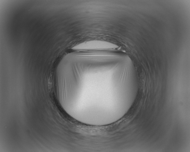 X0000074000040200609181820