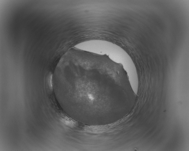 X0000074000041200609181820