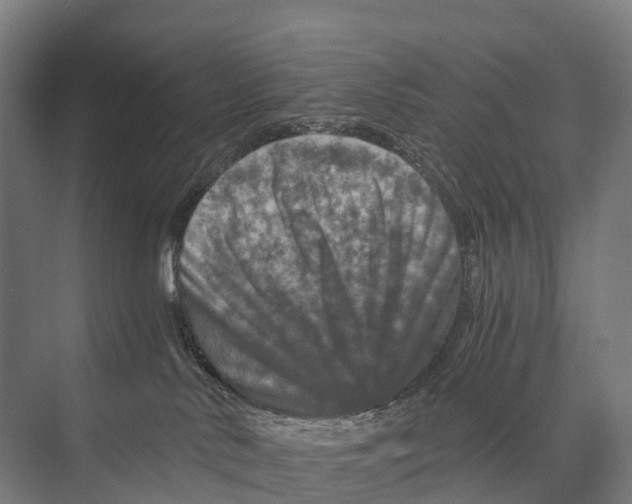 X0000074000042200609181820