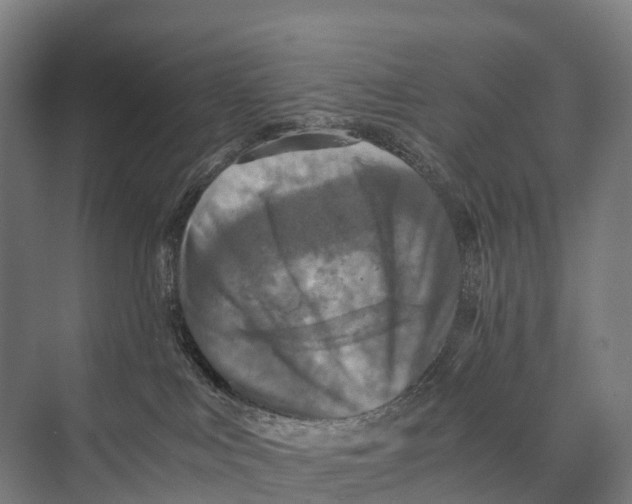 X0000074000043200609181820