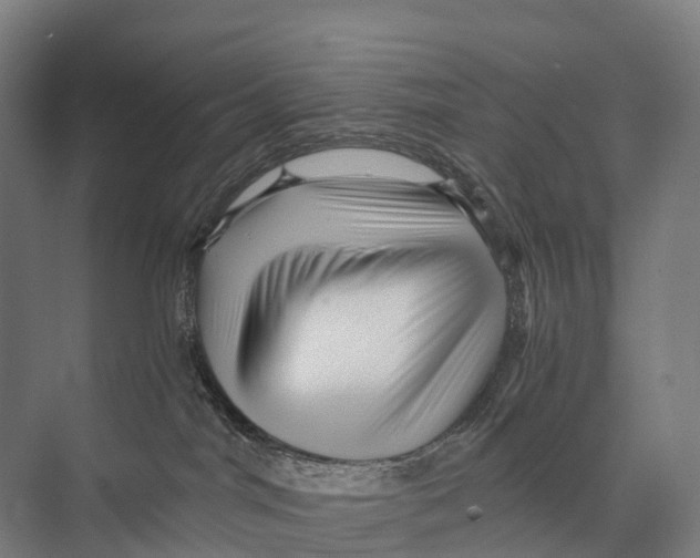 X0000074000044200609181819