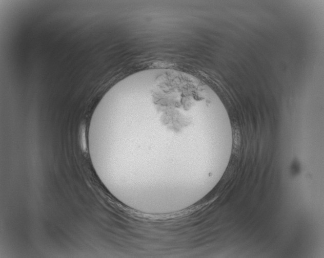 X0000074000046200609181819