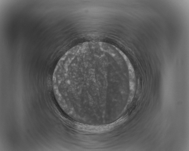 X0000074000048200609181819