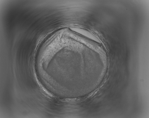 X0000074000049200609181819