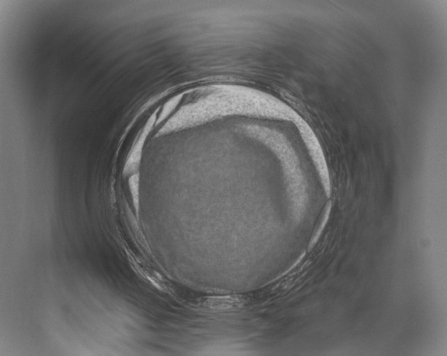 X0000074000050200609181819