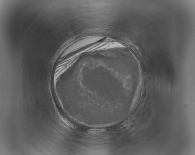 X0000074000051200609181819