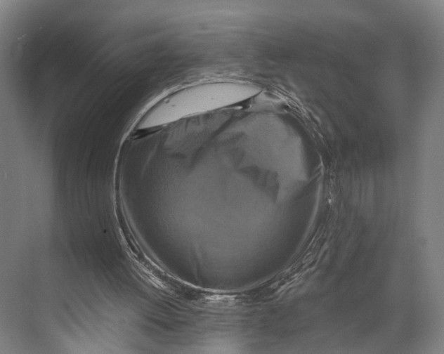 X0000074000052200609181819