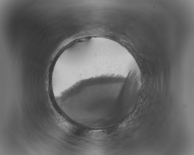 X0000074000054200609181819