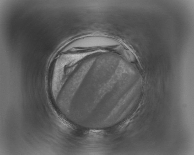 X0000074000055200609181819