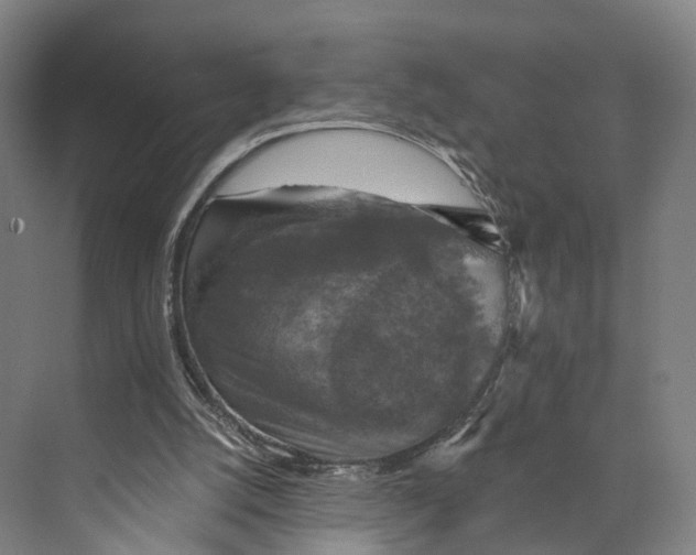 X0000074000056200609181819