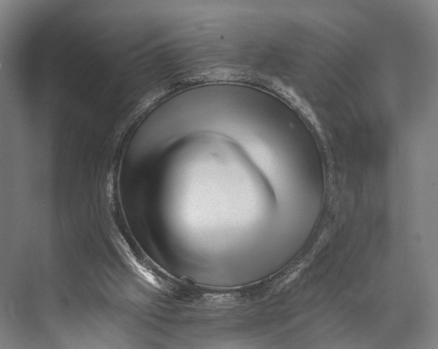 X0000074000057200609181819