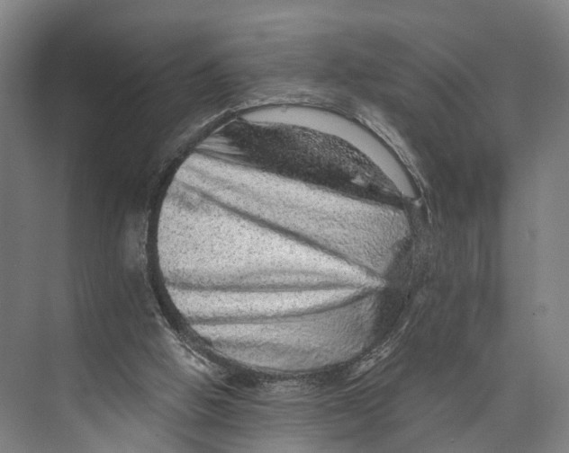 X0000074000058200609181819