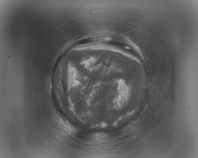 X0000074000059200609181819