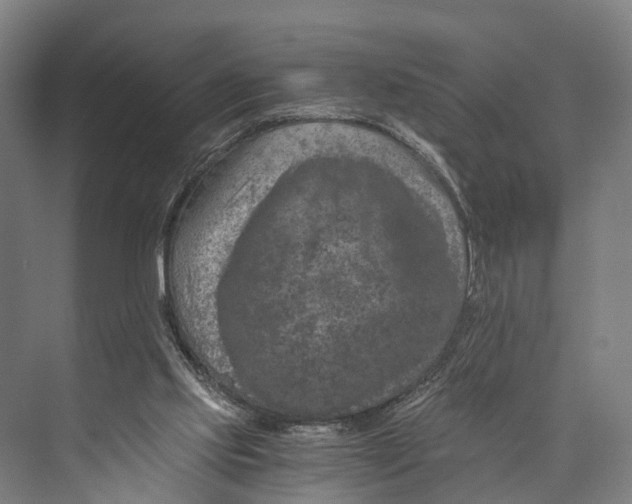 X0000074000061200609181819