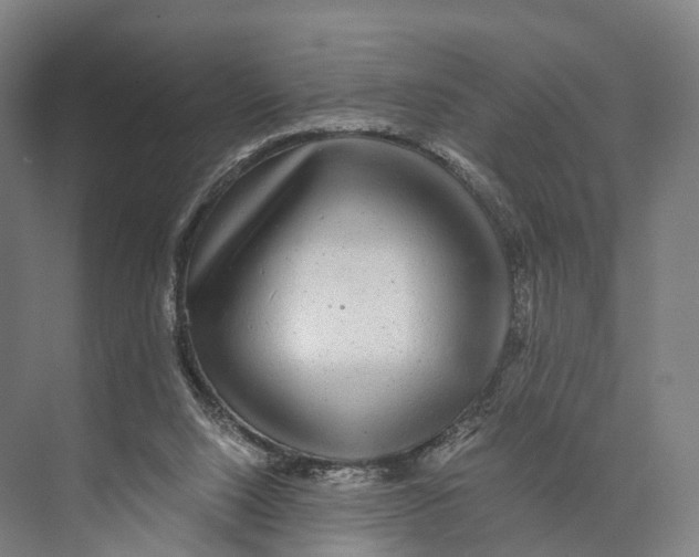 X0000074000064200609181819