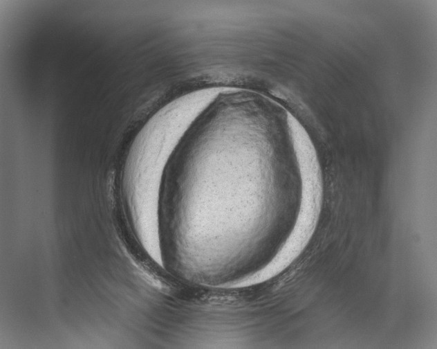 X0000074000066200609181819