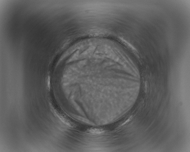 X0000074000067200609181819