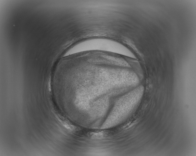 X0000074000068200609181819