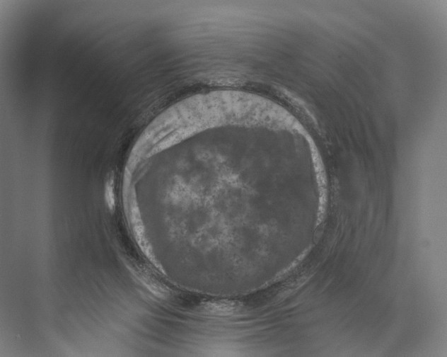 X0000074000069200609181819