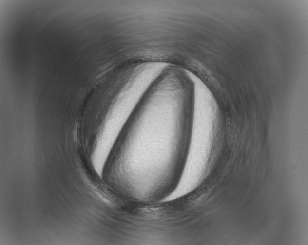 X0000074000071200609181819