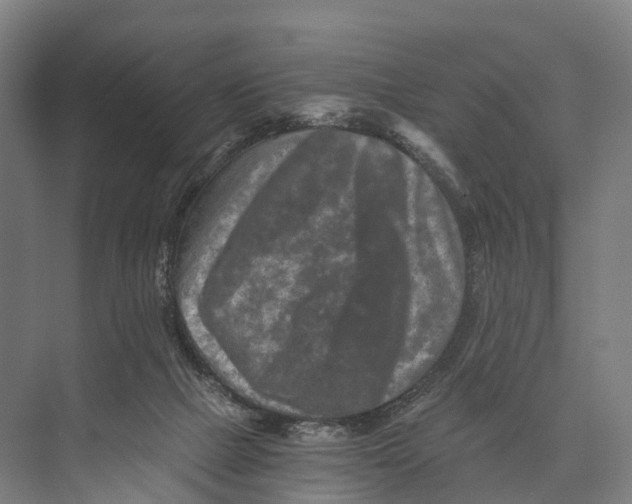 X0000074000073200609181819