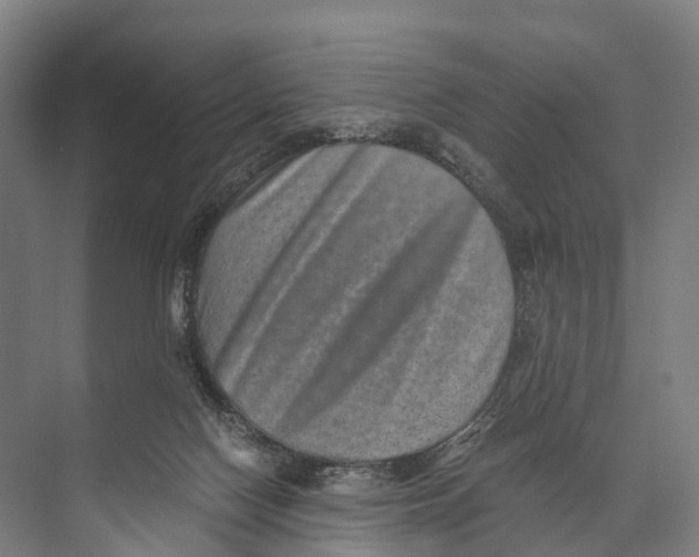 X0000074000074200609181819