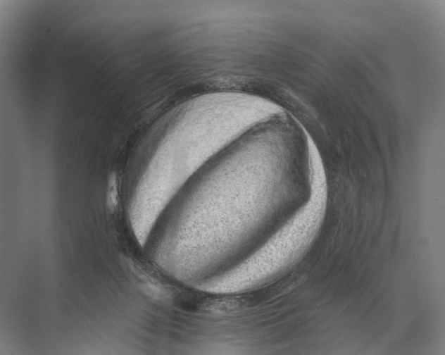 X0000074000075200609181819