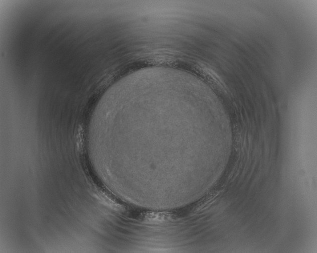 X0000074000077200609181819