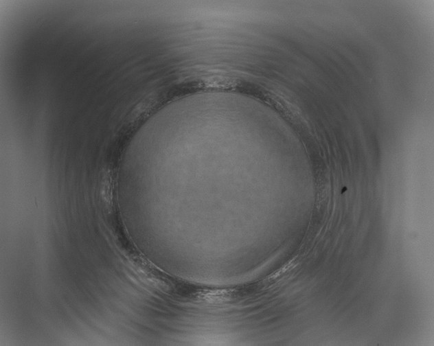 X0000074000078200609181819