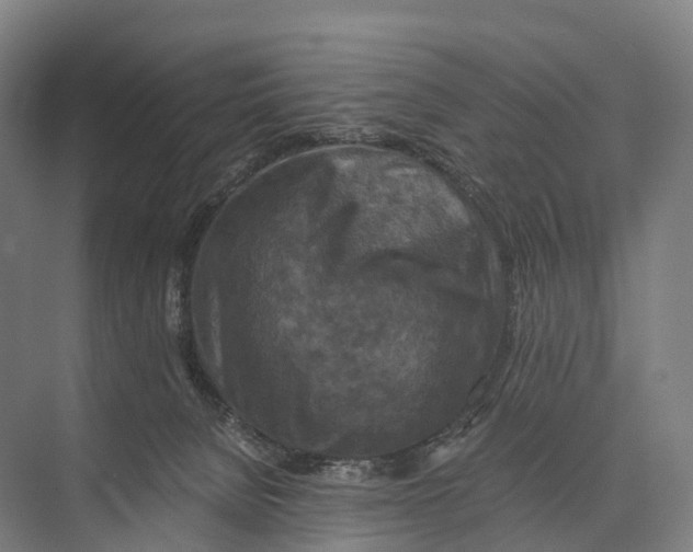 X0000074000080200609181819