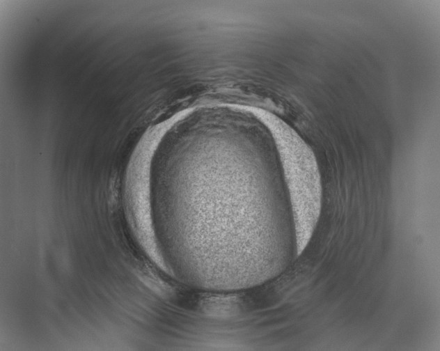 X0000074000081200609181819