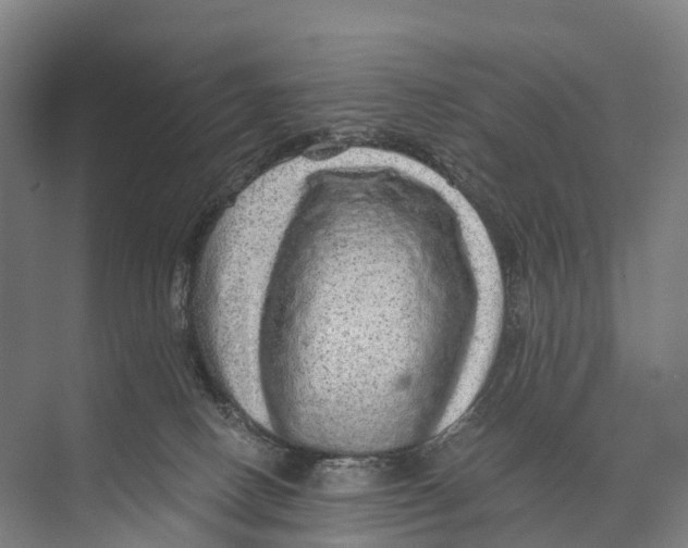 X0000074000082200609181819