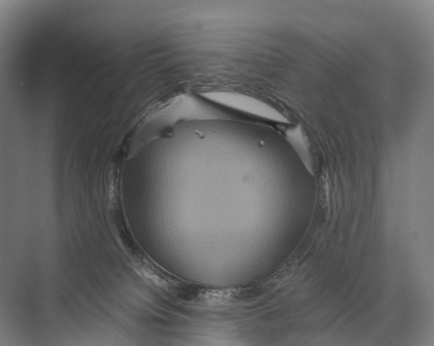 X0000074000084200609181819