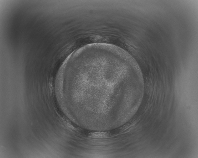 X0000074000085200609181819