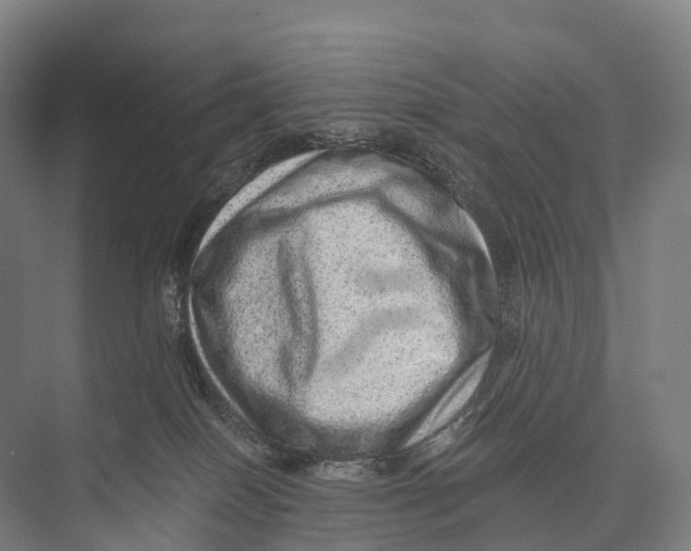 X0000074000086200609181819